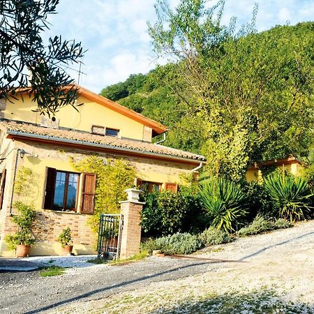 Villa Mischianti Gubbio Bagian luar foto