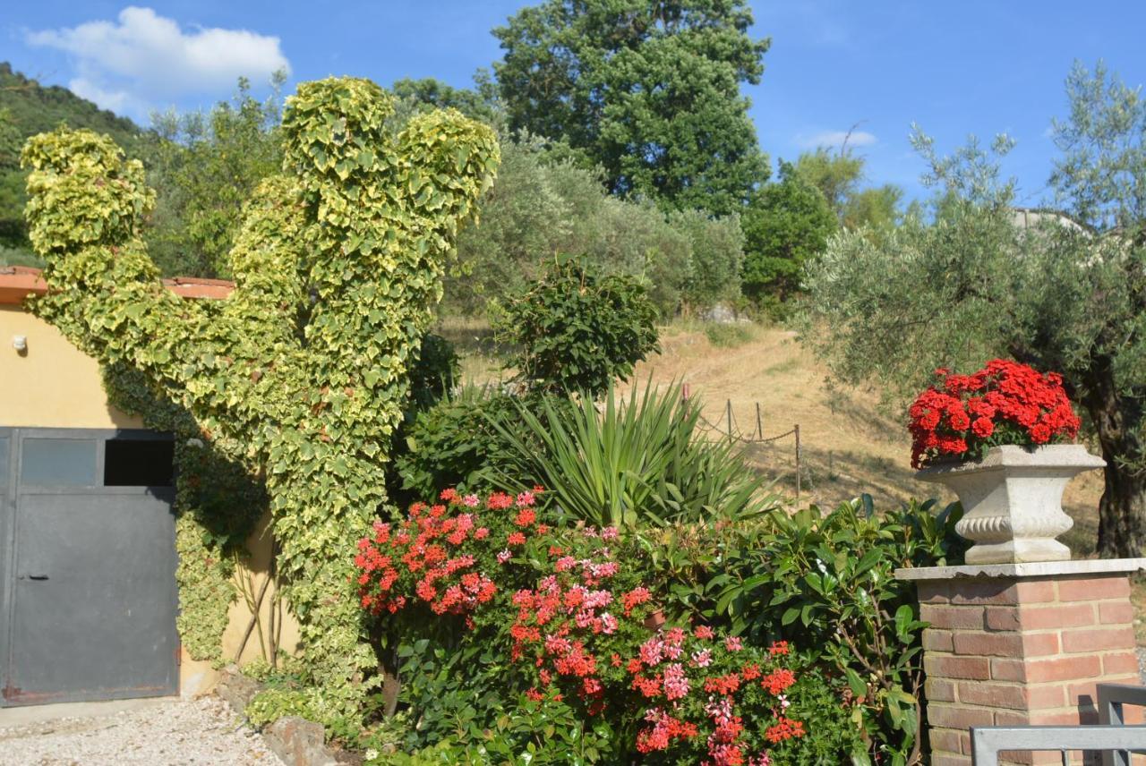 Villa Mischianti Gubbio Bagian luar foto