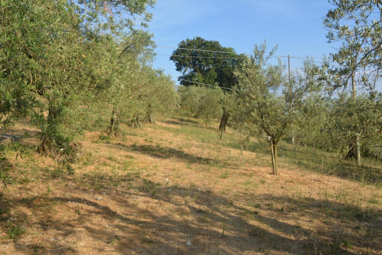 Villa Mischianti Gubbio Bagian luar foto