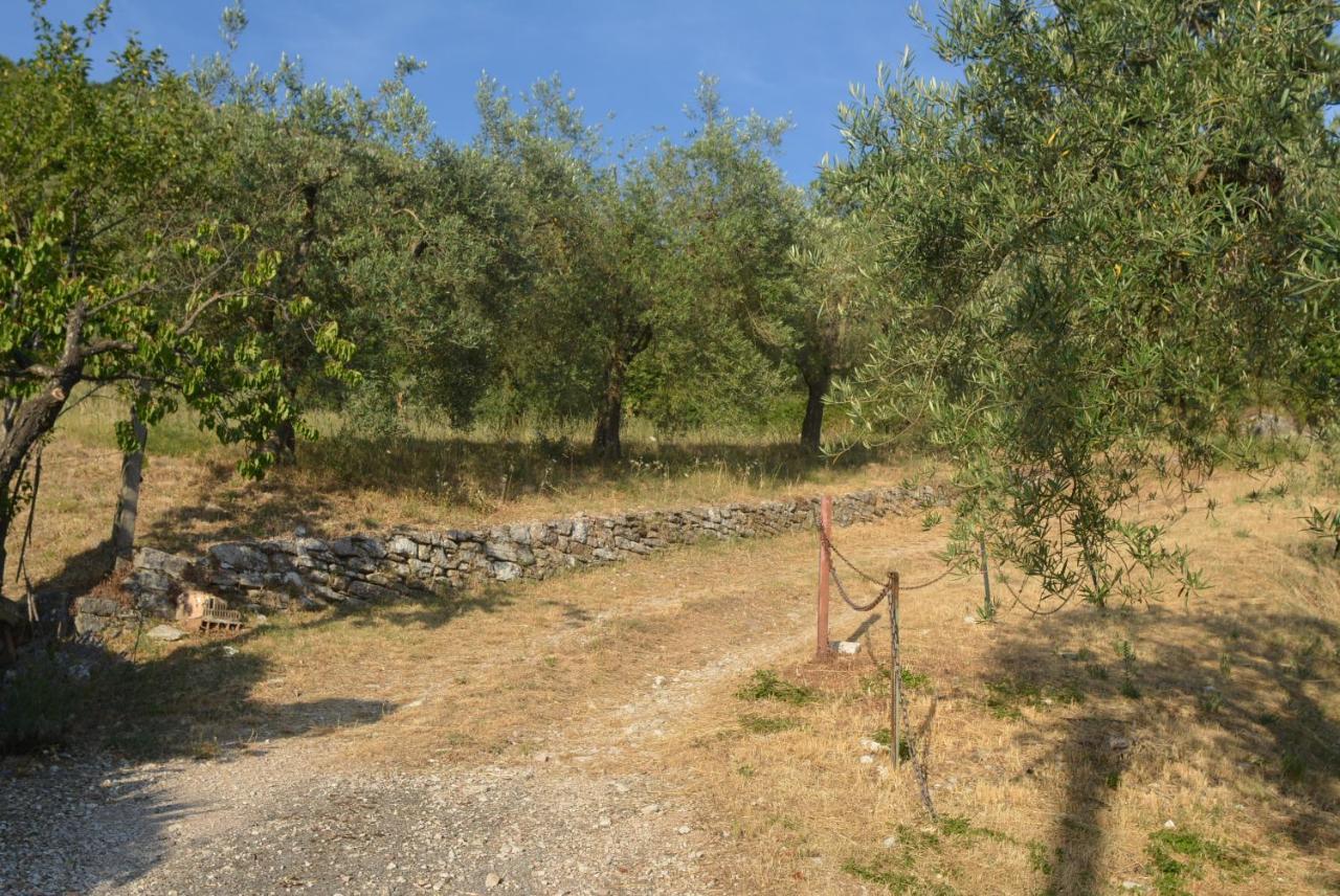 Villa Mischianti Gubbio Bagian luar foto
